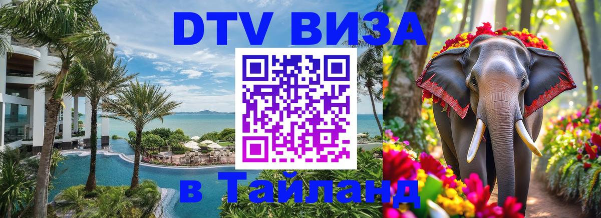 Оформление DTV визы под ключ: стоимость и тарифы, только загранпаспорт - Сан-Сальвадор  05.10.2025 